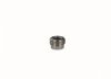 A011 BSPPF Allen Key Plug